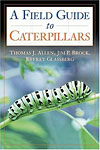 Field Guide to Caterpillars
