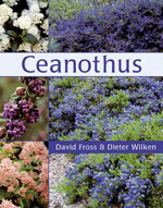 Ceanothus cover